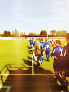 爱游戏官网充值-2024年国际乒联混合团体世界杯:印度队表现大放异彩,2024年乒乓球世锦赛 第2张